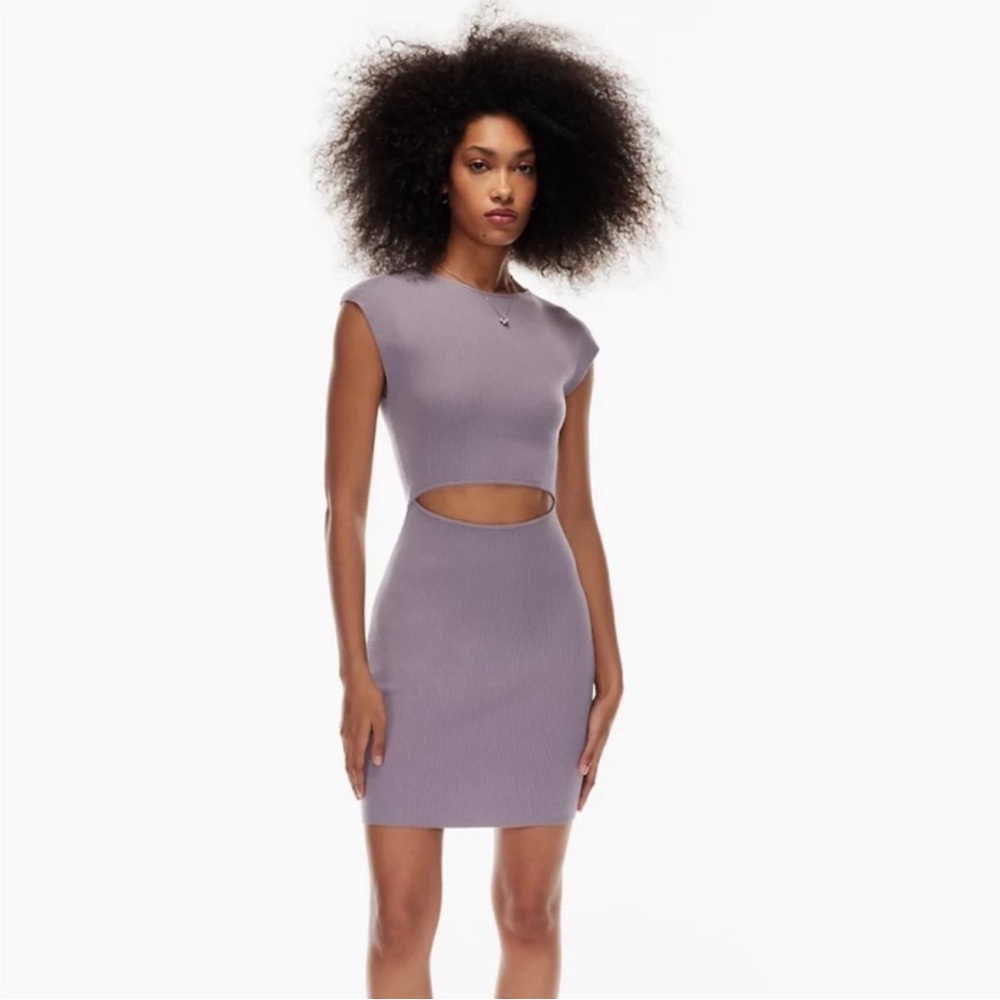 Aritzia Purple Cut-Out Dress